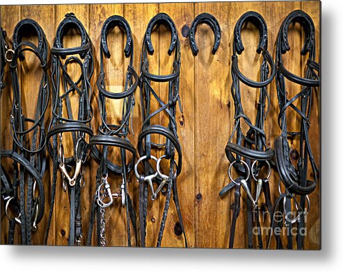Bridles Metal Print featuring the photograph Horse bridles in tack room by Elena Elisseeva