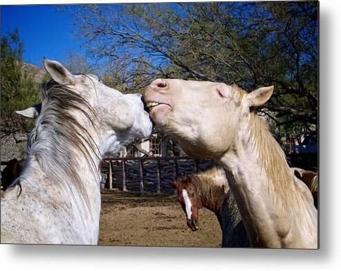 Animals Metal Print featuring the photograph Horse Emotion by Mary Lee Dereske