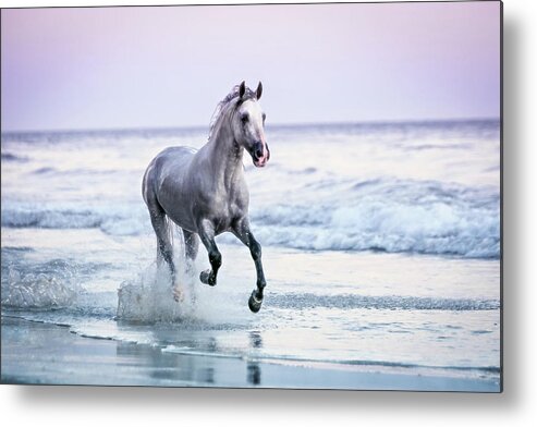 Horse Metal Print featuring the photograph Horse Running On Beach by Lisa Van Dyke