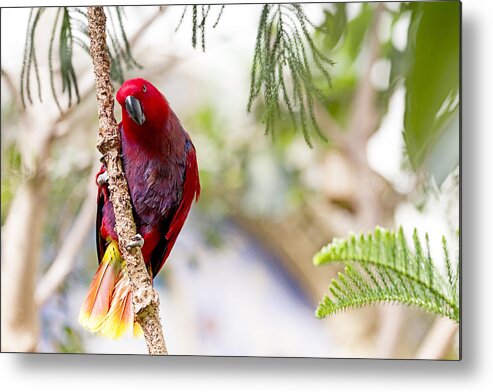 #purebeauty Metal Print featuring the photograph How is this pose by Edward Kreis