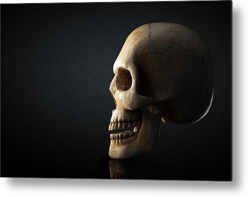 Skull Metal Print featuring the photograph Human skull profile on dark background by Johan Swanepoel
