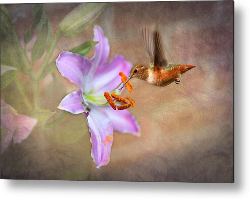 Lilly. Pink Lilly Metal Print featuring the photograph Hummingbird Sweets by Mary Timman