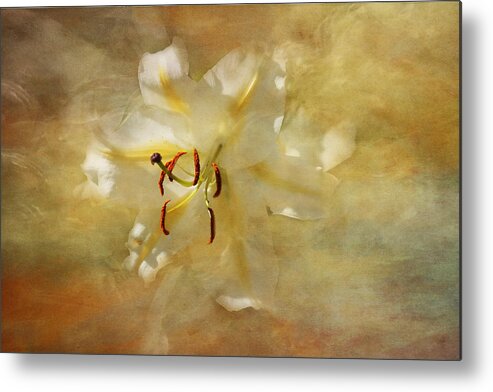 White Lily Metal Print featuring the photograph I am so Happy for You by Marina Kojukhova