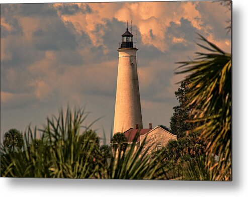 Smnwlr Metal Print featuring the photograph I See a Bad Storm Approaching by Frank Feliciano