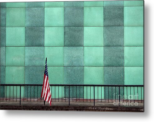 American Metal Print featuring the photograph I Stand Alone by T Lowry Wilson