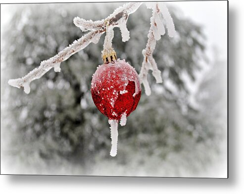 Ornament Metal Print featuring the photograph Icy Glazing by Kelly Nowak