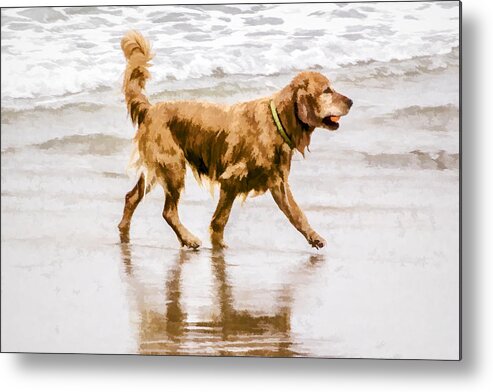Big Dog Metal Print featuring the digital art I'm Back by Photographic Art by Russel Ray Photos
