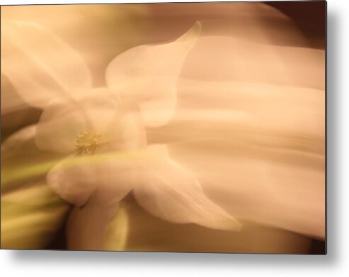 Flower Metal Print featuring the photograph Imagine by Carolyn Jacob