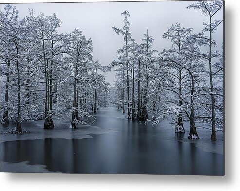 Landscape Metal Print featuring the photograph Imbeau Bayou by David Dedman