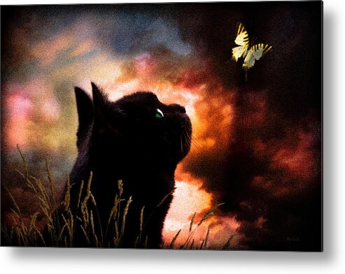 Sky Metal Print featuring the photograph In a cats eye all things belong to cats. by Bob Orsillo
