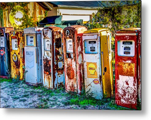 Bob And Nancy Kendrick Metal Print featuring the photograph In a Row by Bob and Nancy Kendrick