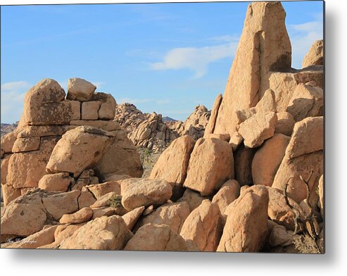 Joshua Tree National Park Metal Print featuring the photograph In Between The Rocks by Amy Gallagher