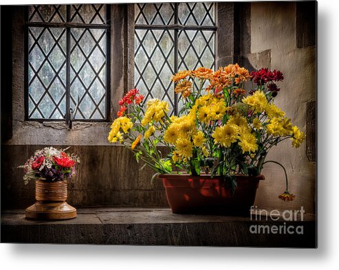 Trefnant Metal Print featuring the photograph In The Light by Adrian Evans