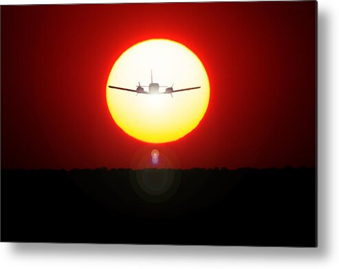 Orange Metal Print featuring the photograph In the Sun by Paul Job