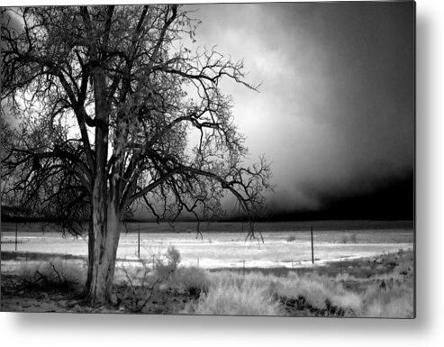 Storm Metal Print featuring the photograph Incoming Storm by Cat Connor