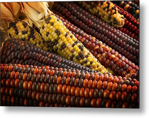 Corn Metal Print featuring the photograph Indian Corn by Mark McKinney