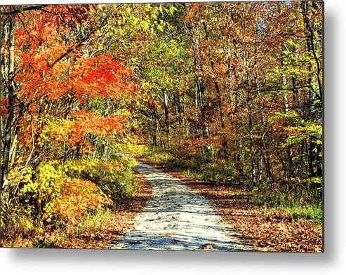 Autumn Metal Print featuring the photograph Indiana Back Road by Lorna Rose Marie Mills DBA Lorna Rogers Photography