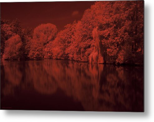 Lake Metal Print featuring the photograph Inner City Lake by Miguel Winterpacht