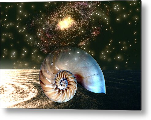 Shell Metal Print featuring the digital art Inner Space Outer Space by Lisa Yount