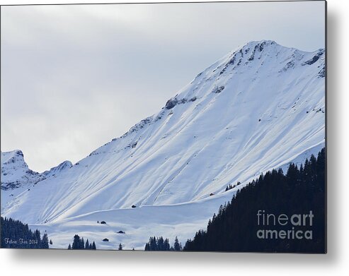 Alps Metal Print featuring the photograph Interfluence by Felicia Tica