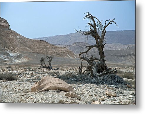 Israel Metal Print featuring the photograph Into the Israel Desert - 3 by Dubi Roman