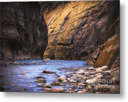 Nature Metal Print featuring the photograph Into The Narrows by Jennifer Magallon