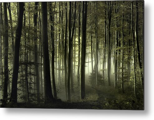 Forest Metal Print featuring the photograph Into The Unknown by Norbert Maier