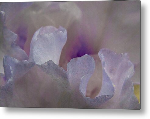 Iris Metal Print featuring the photograph Iris Ice by Elaine Goss