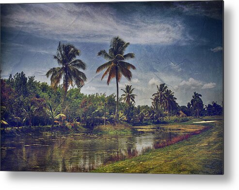 Punta Cana Metal Print featuring the photograph It's Hanging in the Air by Laurie Search