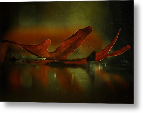 Reflections Metal Print featuring the photograph Its Raining Fall by Tammy Schneider