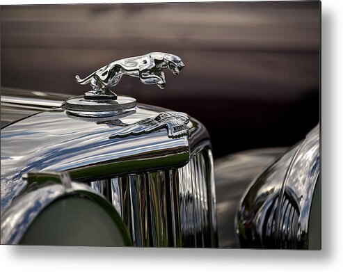 Accessory Metal Print featuring the photograph Jaguar Hood Ornament 1 by Dave Koontz