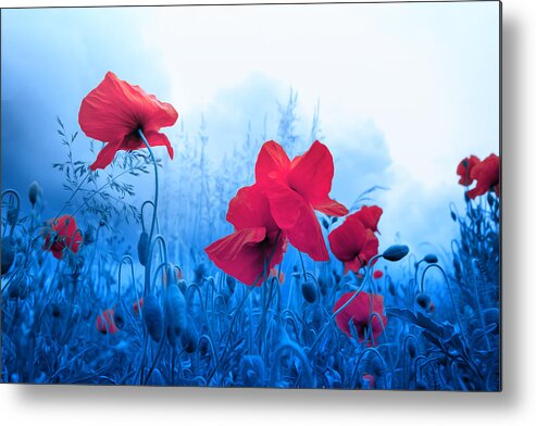 Poppies Metal Print featuring the photograph Jam with Poppies by Philippe Sainte-Laudy