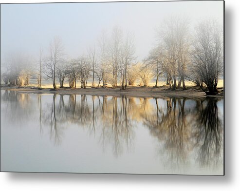 Morning Metal Print featuring the photograph January Morning by Bor