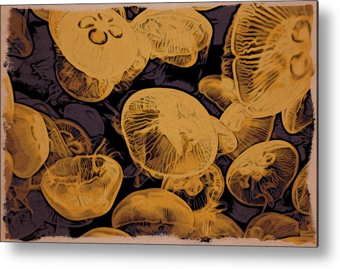 Jellyfish Metal Print featuring the photograph Jellyfish Kingdom by Spencer Hughes