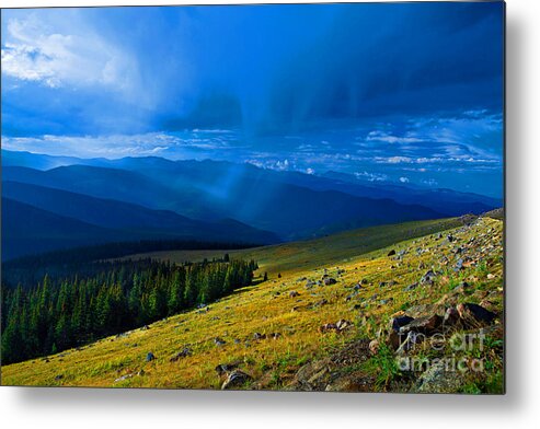 Timberline Metal Print featuring the photograph Just Above by Barbara Schultheis