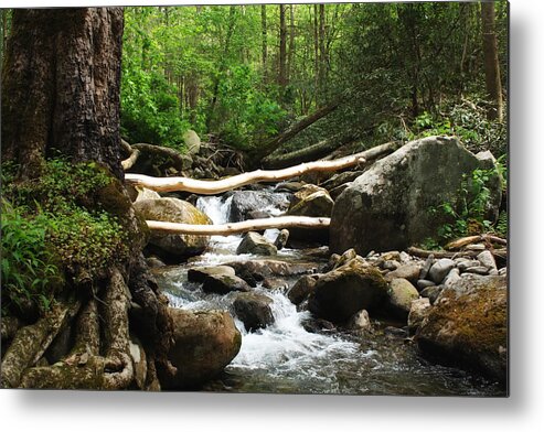 Gatlinburg Metal Print featuring the photograph Just Outside of Gatlinburg by Mountain Dreams