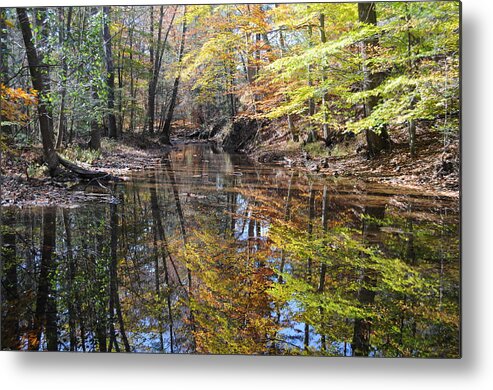 Landscape Metal Print featuring the photograph Kaleidoscope by Jack Harries