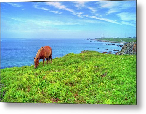 Horse Metal Print featuring the photograph Kandachime by The Landscape Of Regional Cities In Japan.