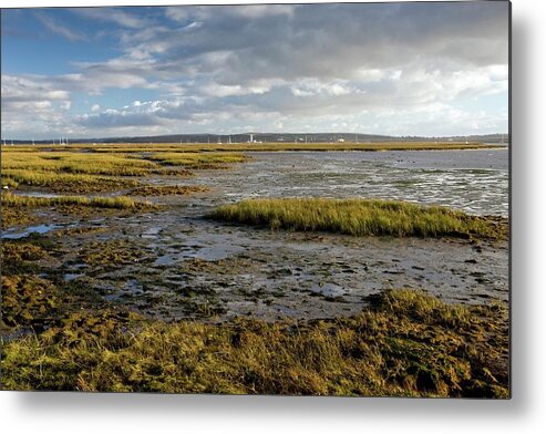 Keyhaven Marshes Metal Print featuring the photograph Keyhaven Marshes Nature Reserve by Bob Gibbons/science Photo Library