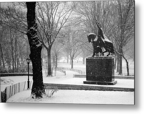 King Jagiello Metal Print featuring the photograph King Jagiello braves a blizzard by Cornelis Verwaal