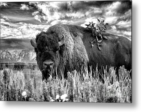 Tetons Metal Print featuring the photograph Monarch of the Plains by Jim Garrison