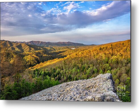 Knobby Rock Metal Print featuring the photograph Knobby Rock by Anthony Heflin