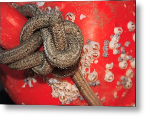 Adriatic Metal Print featuring the photograph Knots and red buoy by Ulrich Kunst And Bettina Scheidulin