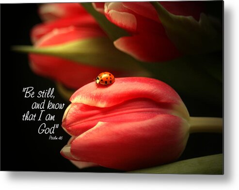 Ladybug Metal Print featuring the photograph Ladybug and Tulip by Linda Fowler