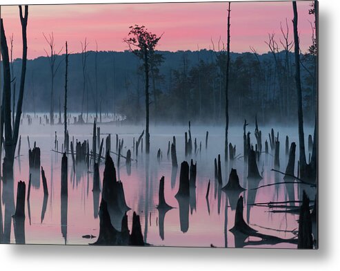 Misty Metal Print featuring the photograph Lake @ Morning #2 by ??? / Austin