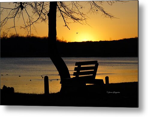 Sunset Metal Print featuring the photograph Lake Carlos State Park Sunset by Steven Clipperton