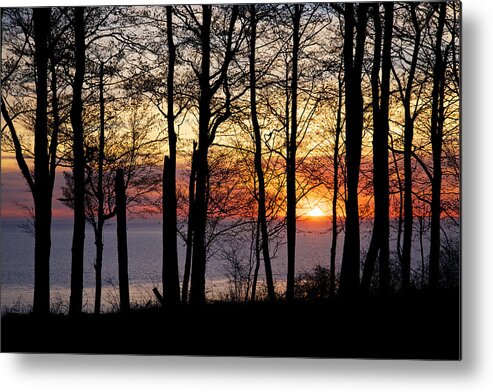 Lake Metal Print featuring the photograph Lake Michigan Sunset with Silhouetted Trees by Mary Lee Dereske