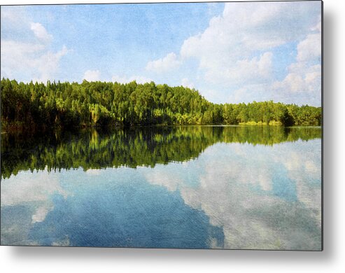 Reflection Metal Print featuring the photograph Lake Reflection in Citrus County, Florida by Randi Kuhne