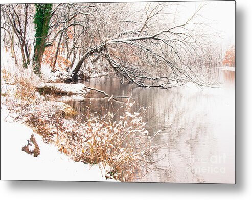 Lake Roland Metal Print featuring the photograph Lake Roland 3 by Chris Scroggins