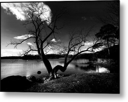Lake District Metal Print featuring the photograph Lake Windermere by Paul Sutcliffe